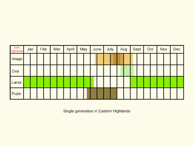  Life stages table Copyright Martin Evans 
