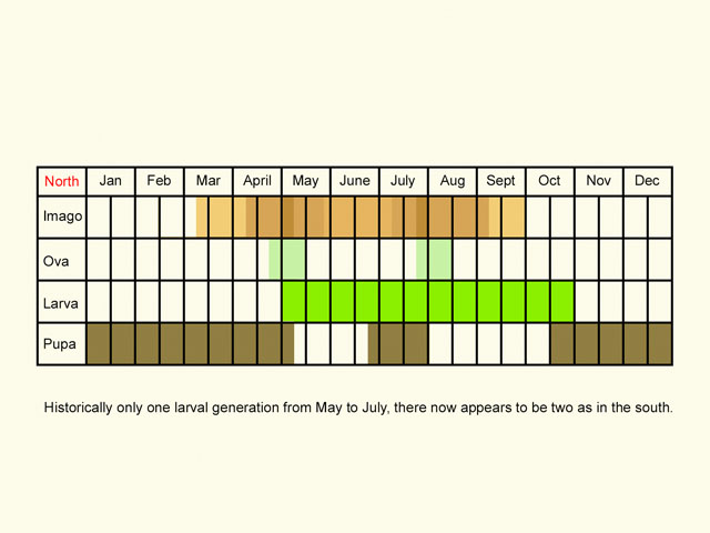  Life stages table Copyright Martin Evans 