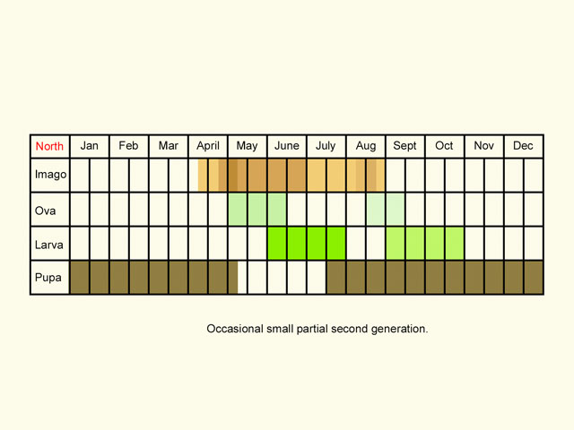  Life stages table Copyright Martin Evans 