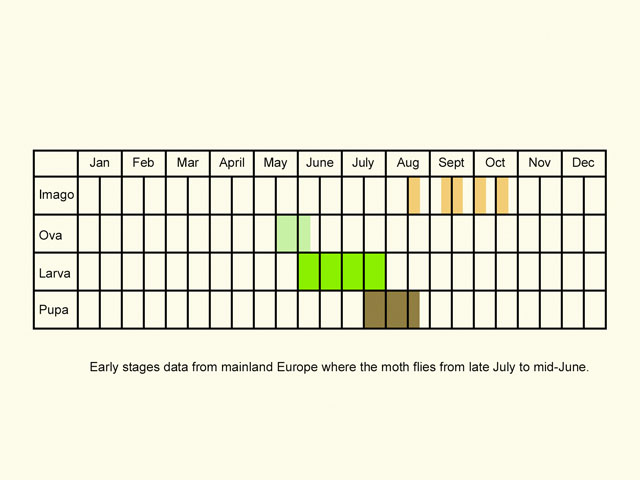  Life stages table Copyright Martin Evans 