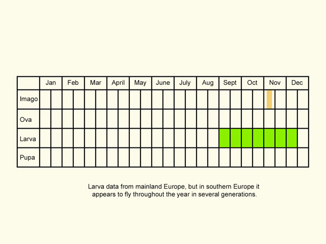  Life stages table Copyright Martin Evans 