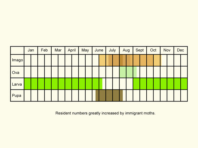 Life stages table Copyright Martin Evans 