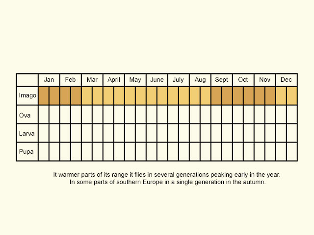  Life stages table Copyright Martin Evans 