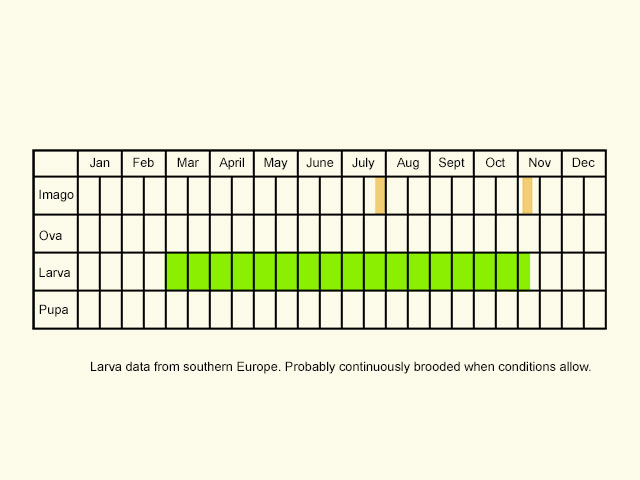  Life stages table Copyright Martin Evans 