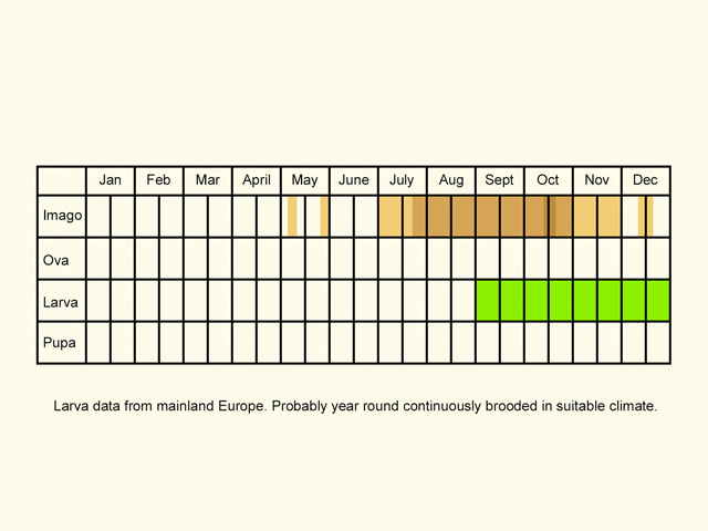  Life stages table Copyright Martin Evans 