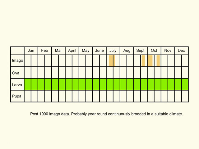  Life stages table Copyright Martin Evans 