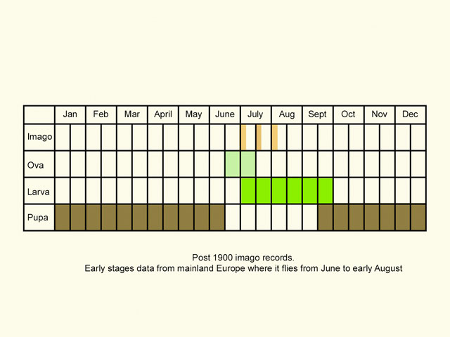 Life stages table Copyright Martin Evans 