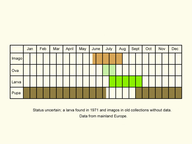 Life stages table Copyright Martin Evans 