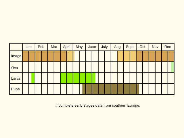  Life stages table Copyright Martin Evans 