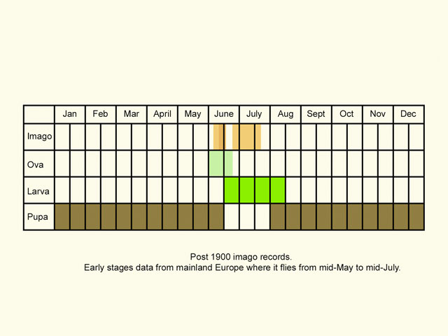  Life stages table Copyright Martin Evans 