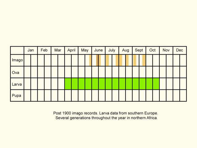  Life stages table Copyright Martin Evans 