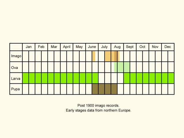  Life stages table Copyright Martin Evans 