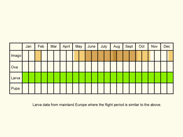  Life stages table Copyright Martin Evans 