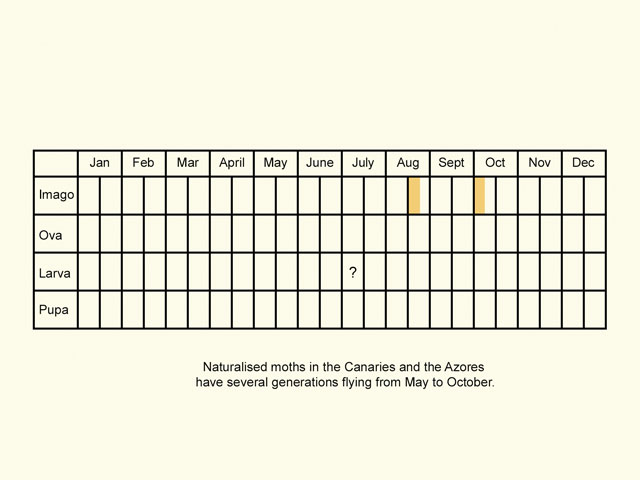  Life stages table Copyright Martin Evans 