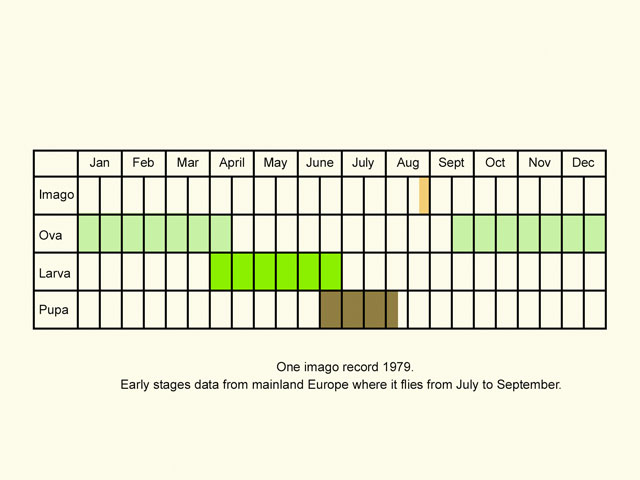  Life stages table Copyright Martin Evans 