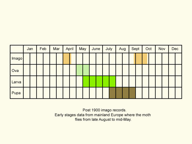  Life stages table Copyright Martin Evans 