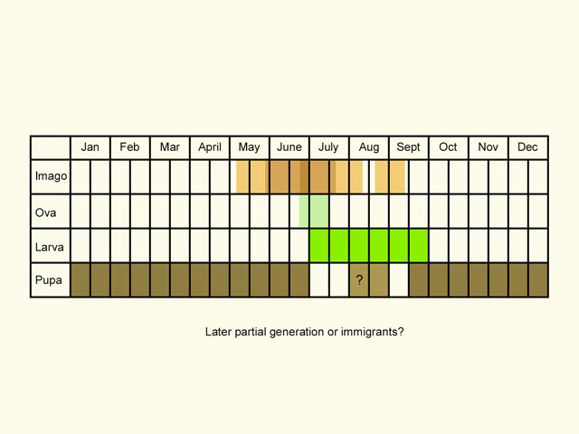  Life stages table Copyright Martin Evans 
