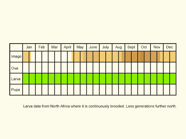  Life stages table Copyright Martin Evans 