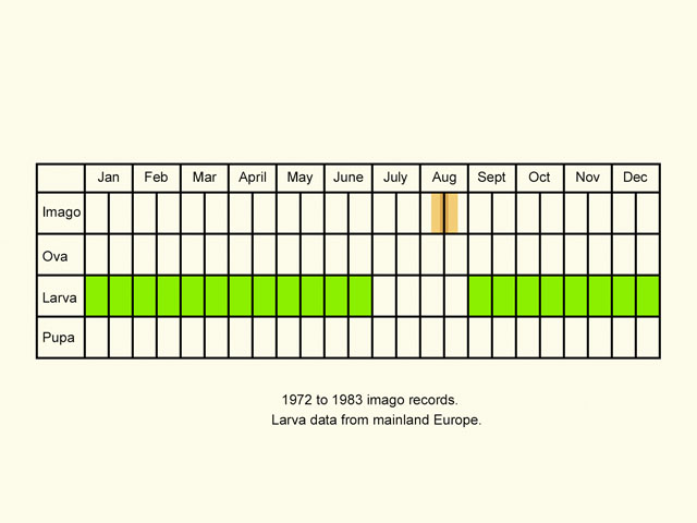  Life stages table Copyright Martin Evans 