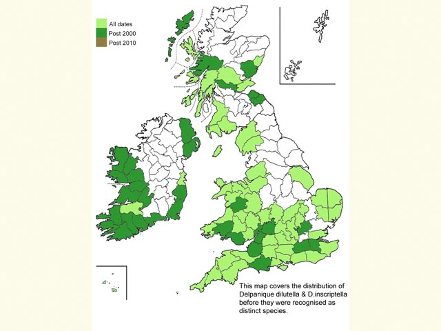  Distribution map Copyright Martin Evans 