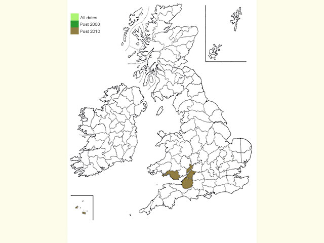  Distribution map Copyright Martin Evans 