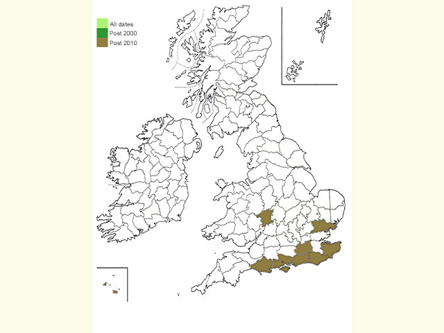  Distribution map Copyright Martin Evans 