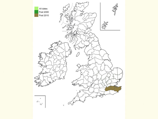  Distribution map Copyright Martin Evans 