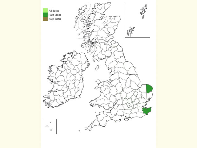  Distribution map Copyright Martin Evans 