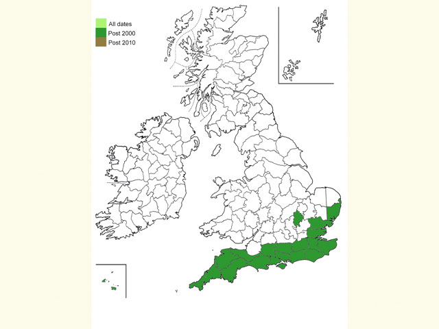  Distribution map Copyright Martin Evans 