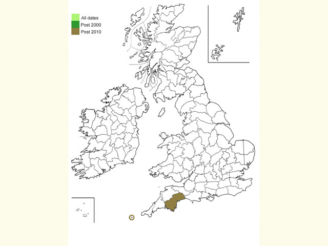  Distribution map Copyright Martin Evans 