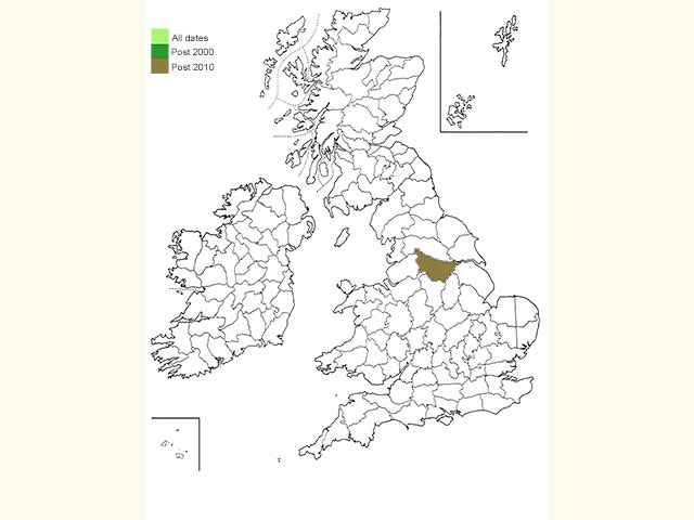  74.0093 Sallow Nycteoline distribution map Copyright Martin Evans 
