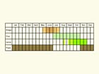  Life stages table Copyright Martin Evans 