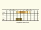  Life stages table Copyright Martin Evans 