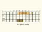  Life stages table Copyright Martin Evans 
