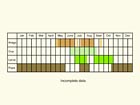  Life stages table Copyright Martin Evans 