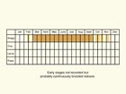  Life stages table Copyright Martin Evans 