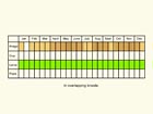  Life stages table Copyright Martin Evans 