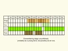  Life stages table Copyright Martin Evans 