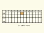  Life stages table Copyright Martin Evans 