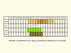  Life stages table Copyright Martin Evans 