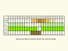  Life stages table Copyright Martin Evans 