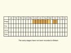  Life stages table Copyright Martin Evans 
