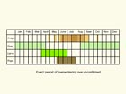  Life stages table Copyright Martin Evans 