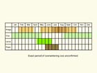  Life stages table Copyright Martin Evans 