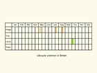  Life stages table Copyright Martin Evans 