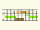 Life stages table Copyright Martin Evans 