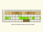  Life stages table Copyright Martin Evans 