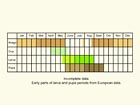  Life stages table Copyright Martin Evans 
