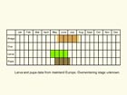  Life stages table Copyright Martin Evans 
