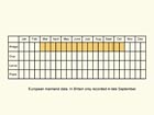  Life stages table Copyright Martin Evans 